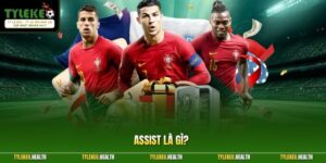 Assist Là Gì? Tìm Hiểu Vai Trò Kiến Tạo Trong Lĩnh Vực Bóng Đá