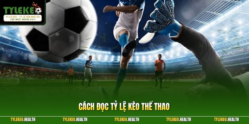 Cách Đọc Tỷ Lệ Kèo Thể Thao Thường Gặp Dễ Hiểu Cho Hội Viên