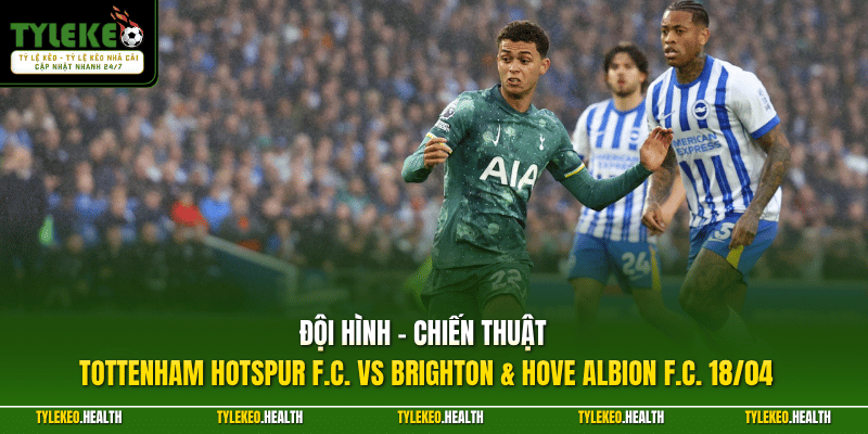 Đội hình - chiến thuật Tottenham Hotspur F.C. vs Brighton & Hove Albion F.C. 18/04