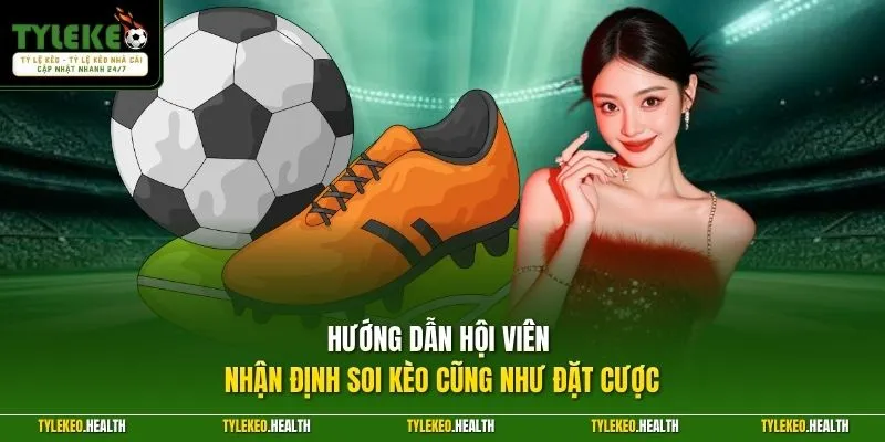 Hướng dẫn hội viên nhận định soi kèo cũng như đặt cược