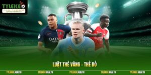 Luật Thẻ Vàng - Thẻ Đỏ - Hiểu Rõ Quy Định Xử Phạt Mới Nhất 