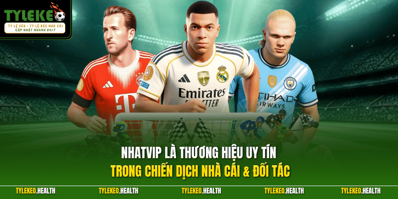 Nhatvip là thương hiệu uy tín trong chiến dịch nhà cái & đối tác