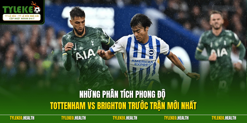 Những phân tích phong độ Tottenham vs Brighton trước trận mới nhất