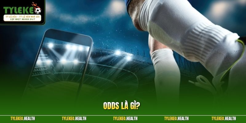 Odds Là Gì? Phân Loại Odds Và Vai Trò Cốt Lõi Trong Cá Cược