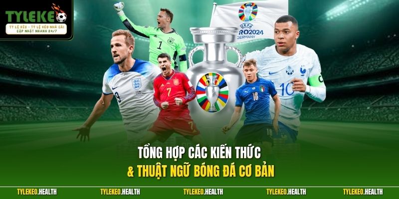 Tổng hợp các kiến thức & thuật ngữ bóng đá cơ bản 