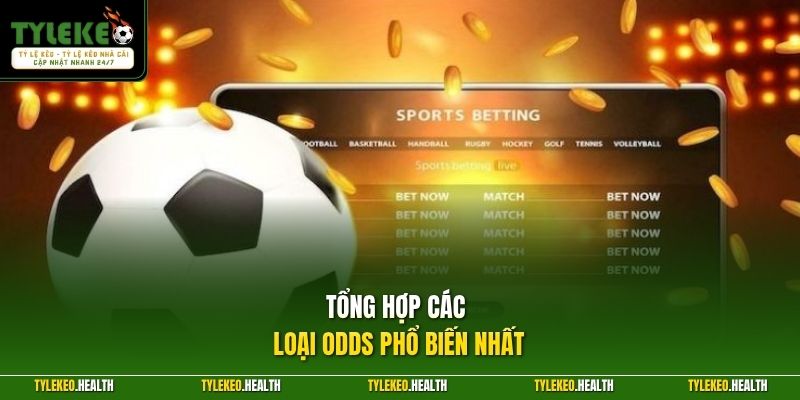 Tổng hợp các loại Odds phổ biến nhất