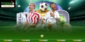 X8 - Thương Hiệu Đặt Cược Đáng Tin Cậy Hàng Đầu Năm 2026